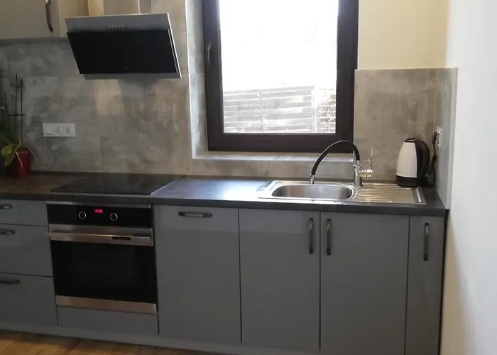 Lion Lejlighed Andrychów